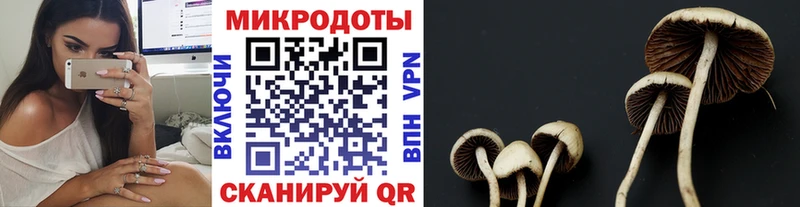 Галлюциногенные грибы ЛСД  Малая Вишера 
