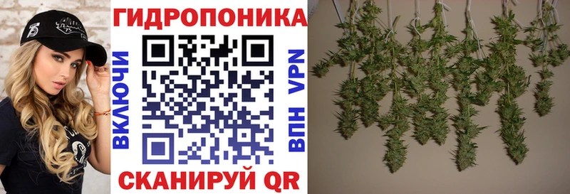 Конопля тримм  дарнет шоп  Малая Вишера 